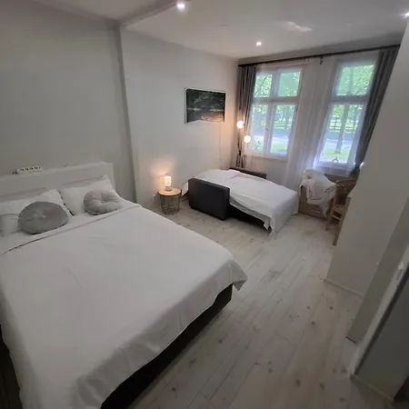 Pikk 24 - Kesklinn - Center * 派尔努