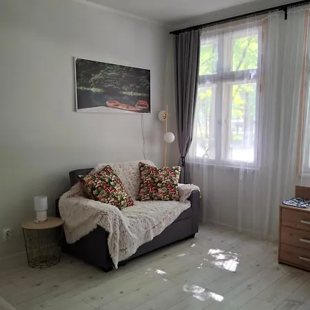 Pikk 24 - Kesklinn - Center 派尔努