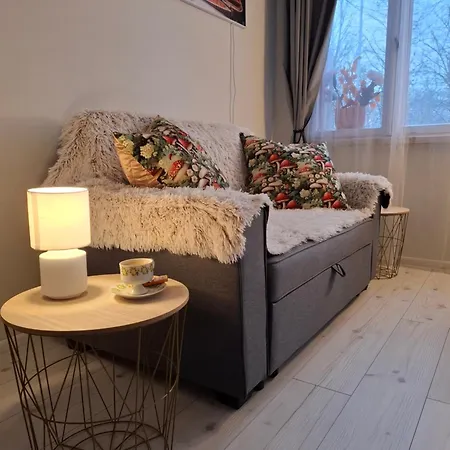 Pikk 24 - Kesklinn - Center Apartamento